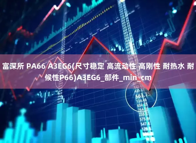 富深所 PA66 A3EG6(尺寸稳定 高流动性 高刚性 耐热水 耐候性P66)A3EG6_部件_min_cm