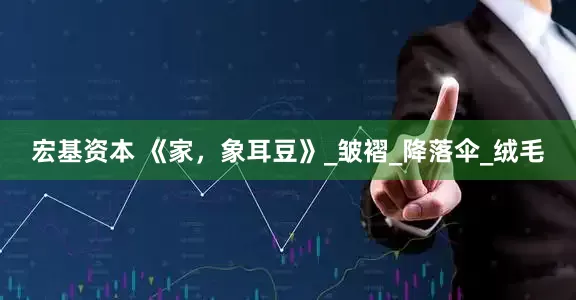 宏基资本 《家，象耳豆》_皱褶_降落伞_绒毛