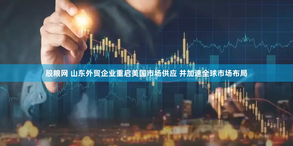 股粮网 山东外贸企业重启美国市场供应 并加速全球市场布局