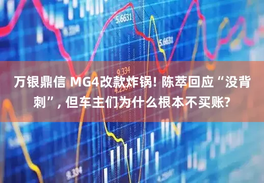万银鼎信 MG4改款炸锅! 陈萃回应“没背刺”, 但车主们为什么根本不买账?